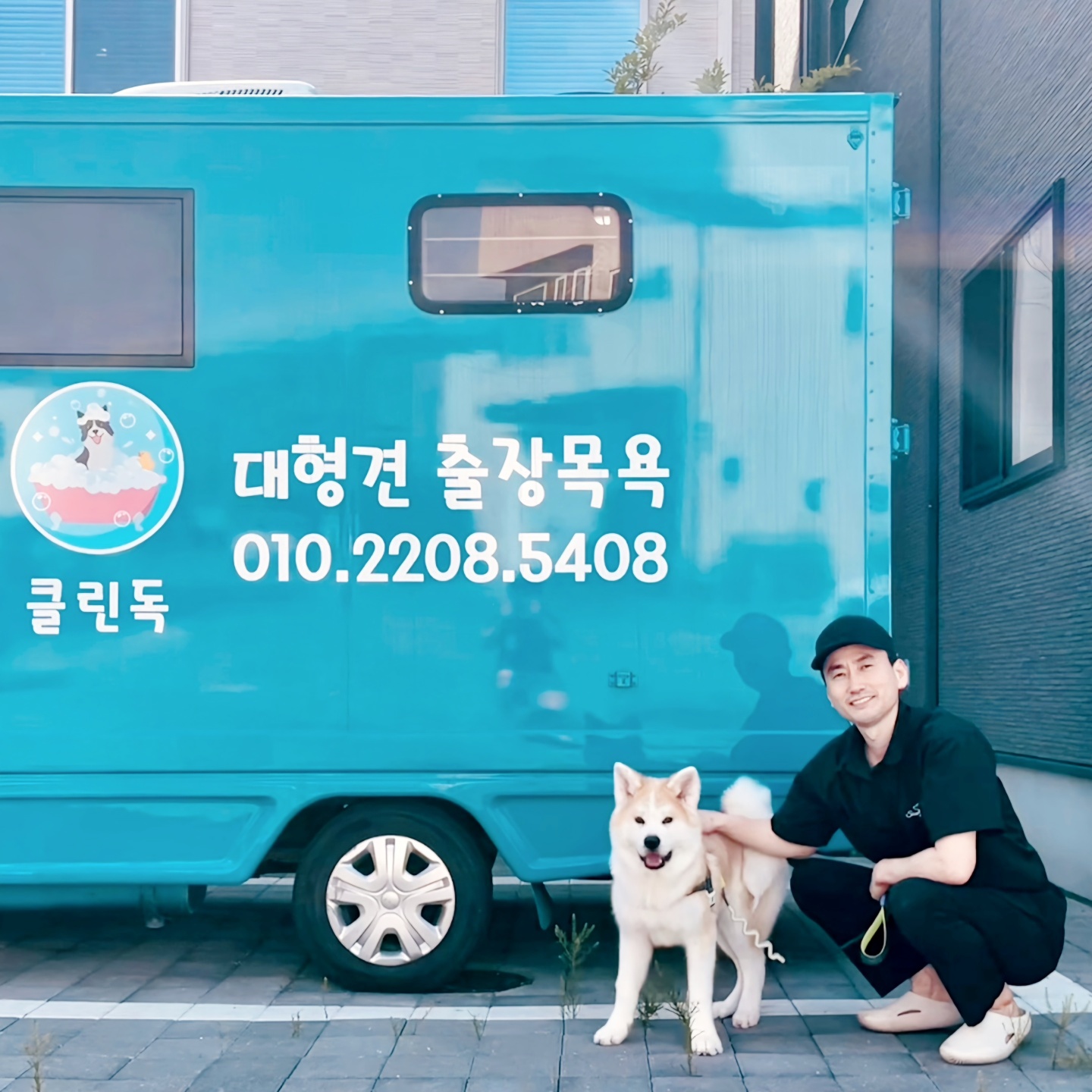 클린독 대표 이미지