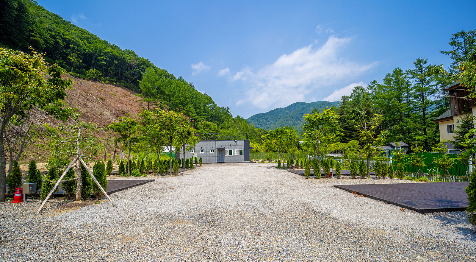 푸른숲