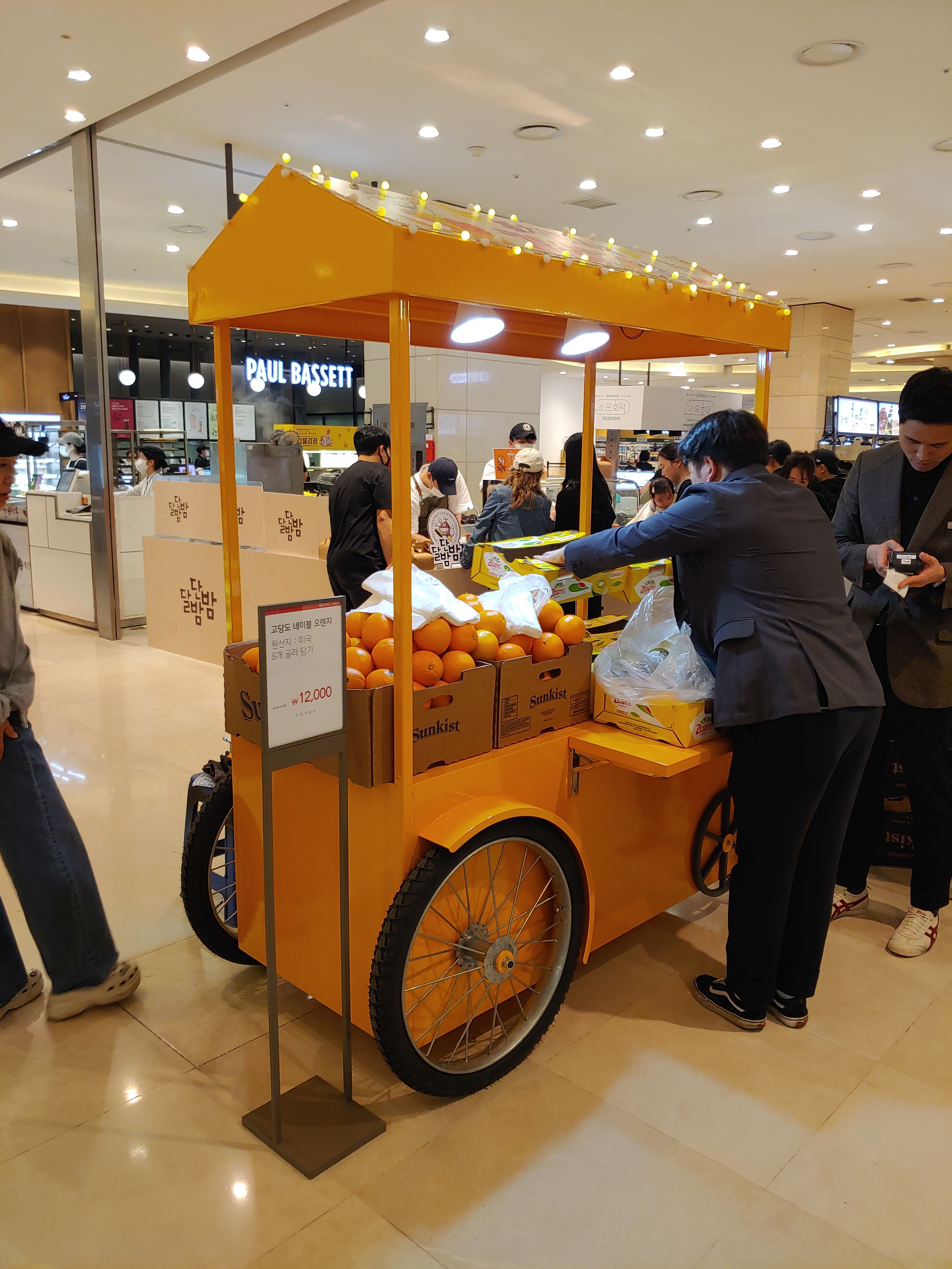 벤치스
