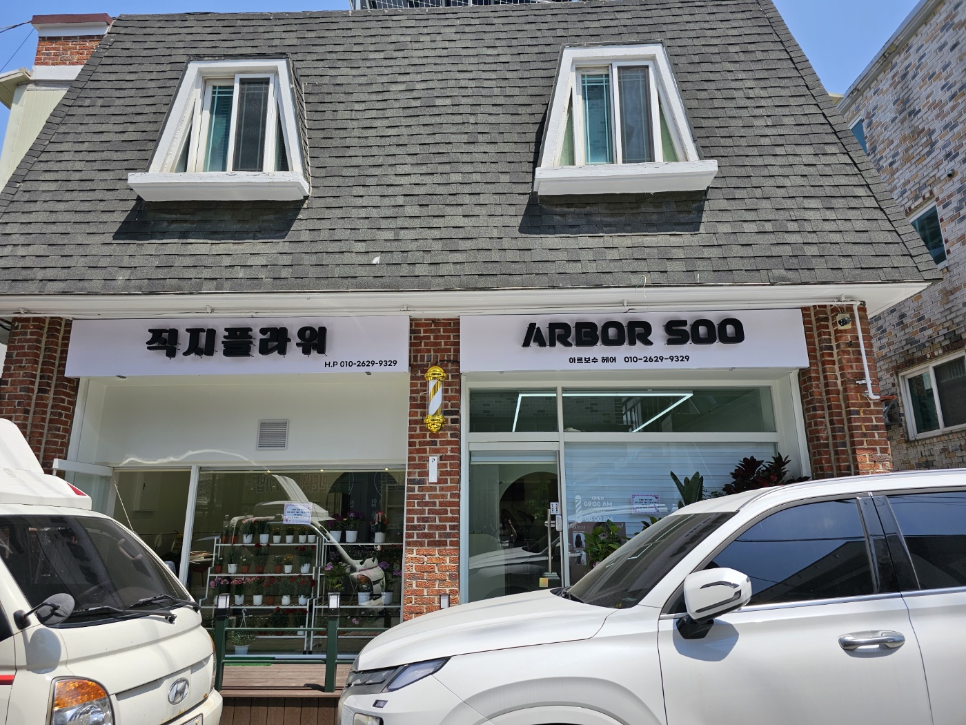 아르보수헤어