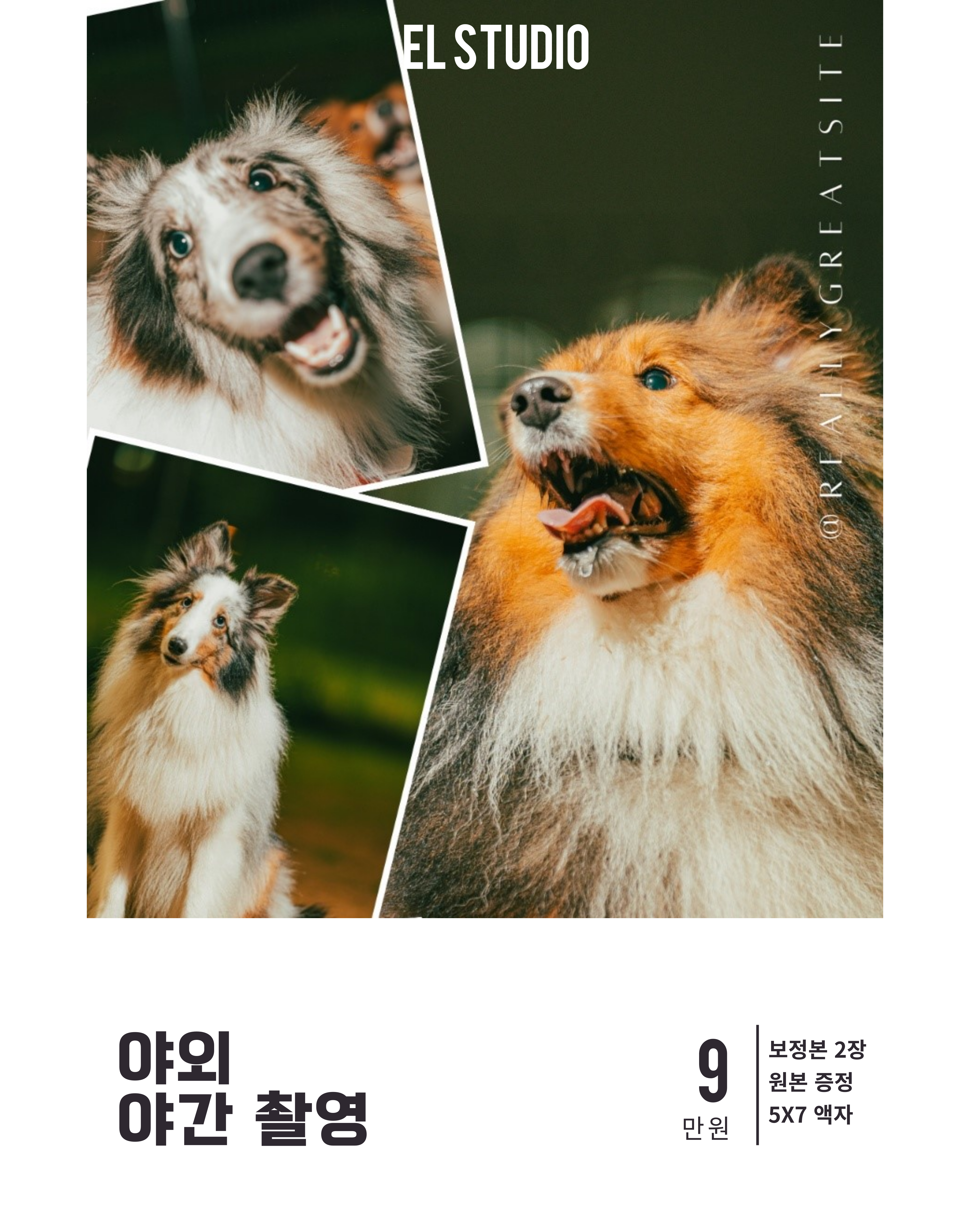 이엘스튜디오