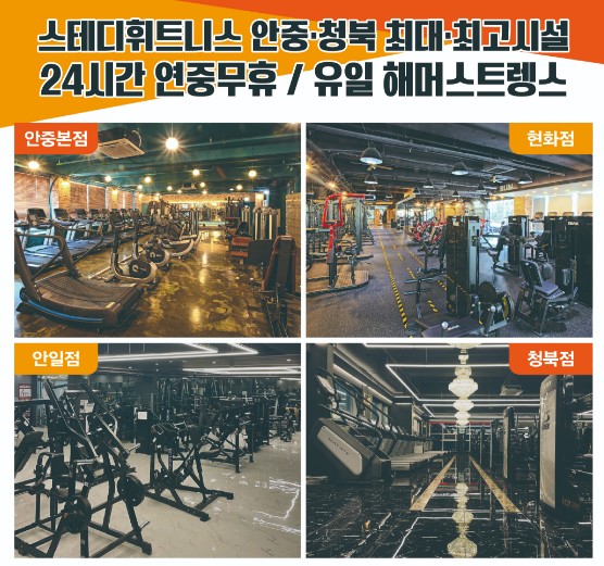 스테디휘트니스 안일점