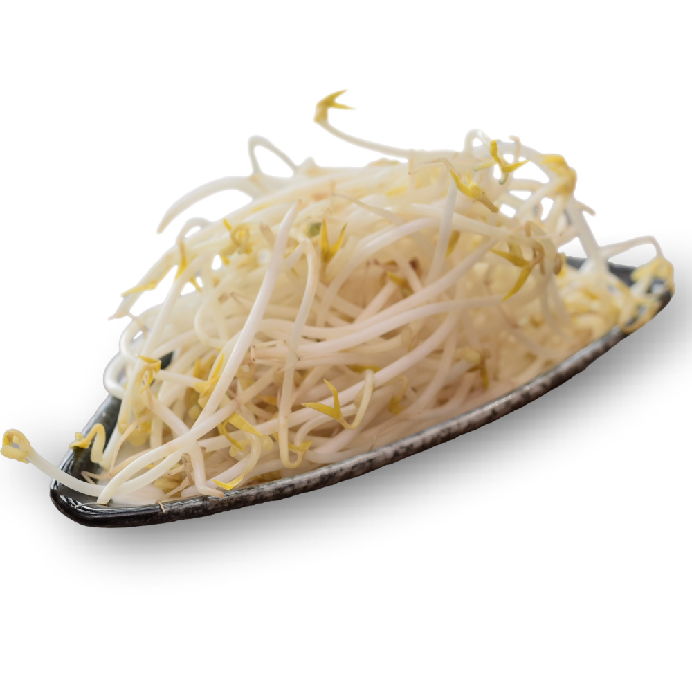 소노키라멘 마라힐링 일산점
