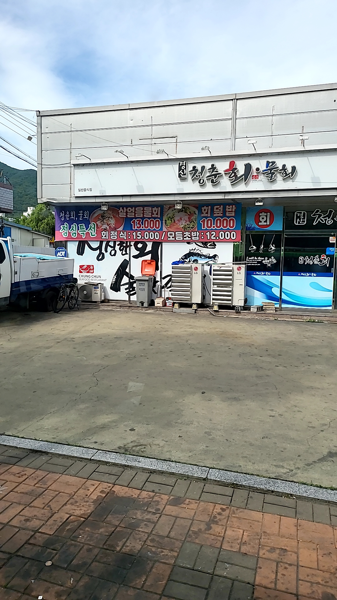 청춘회물회