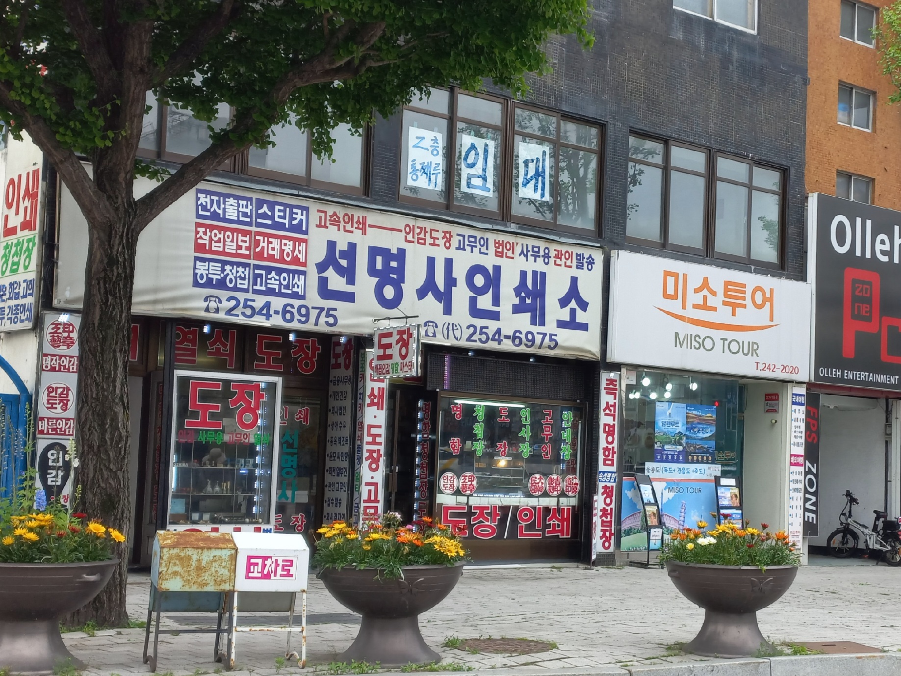 선명사인쇄소
