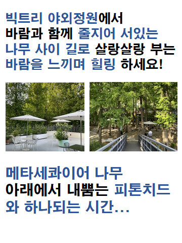 빅트리