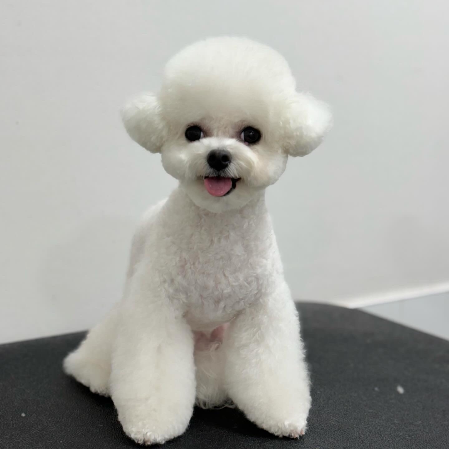 뽀도독 2