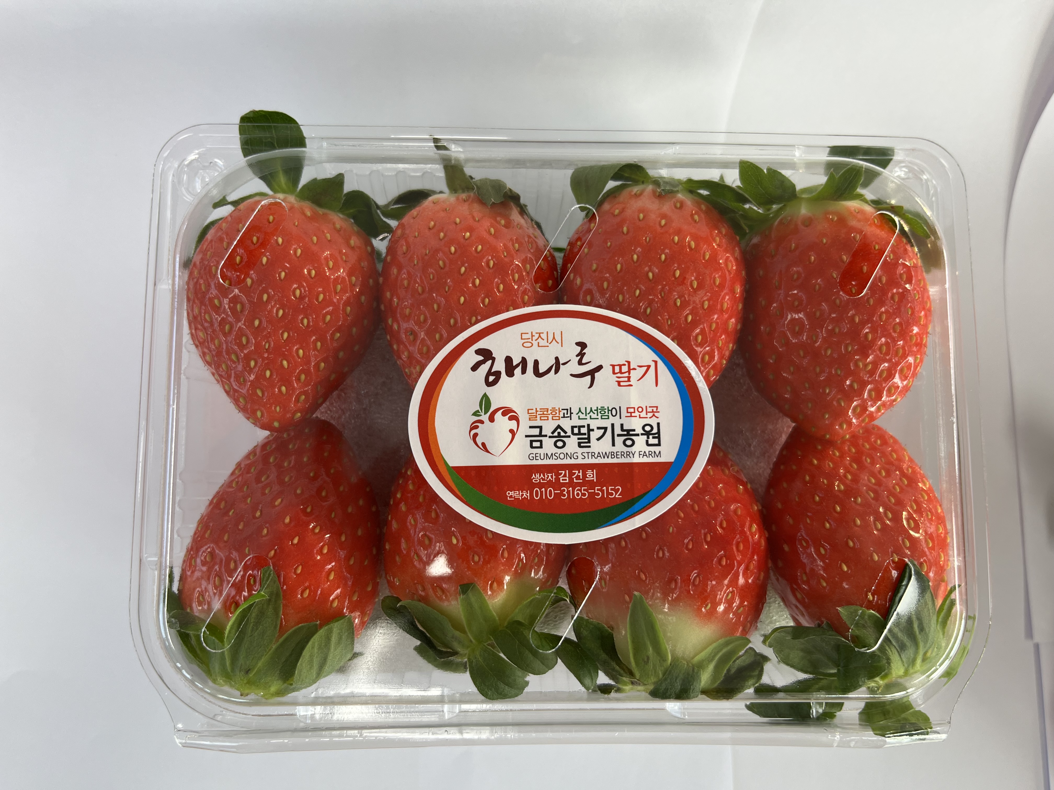 금송딸기농원 금송딸기체험농장