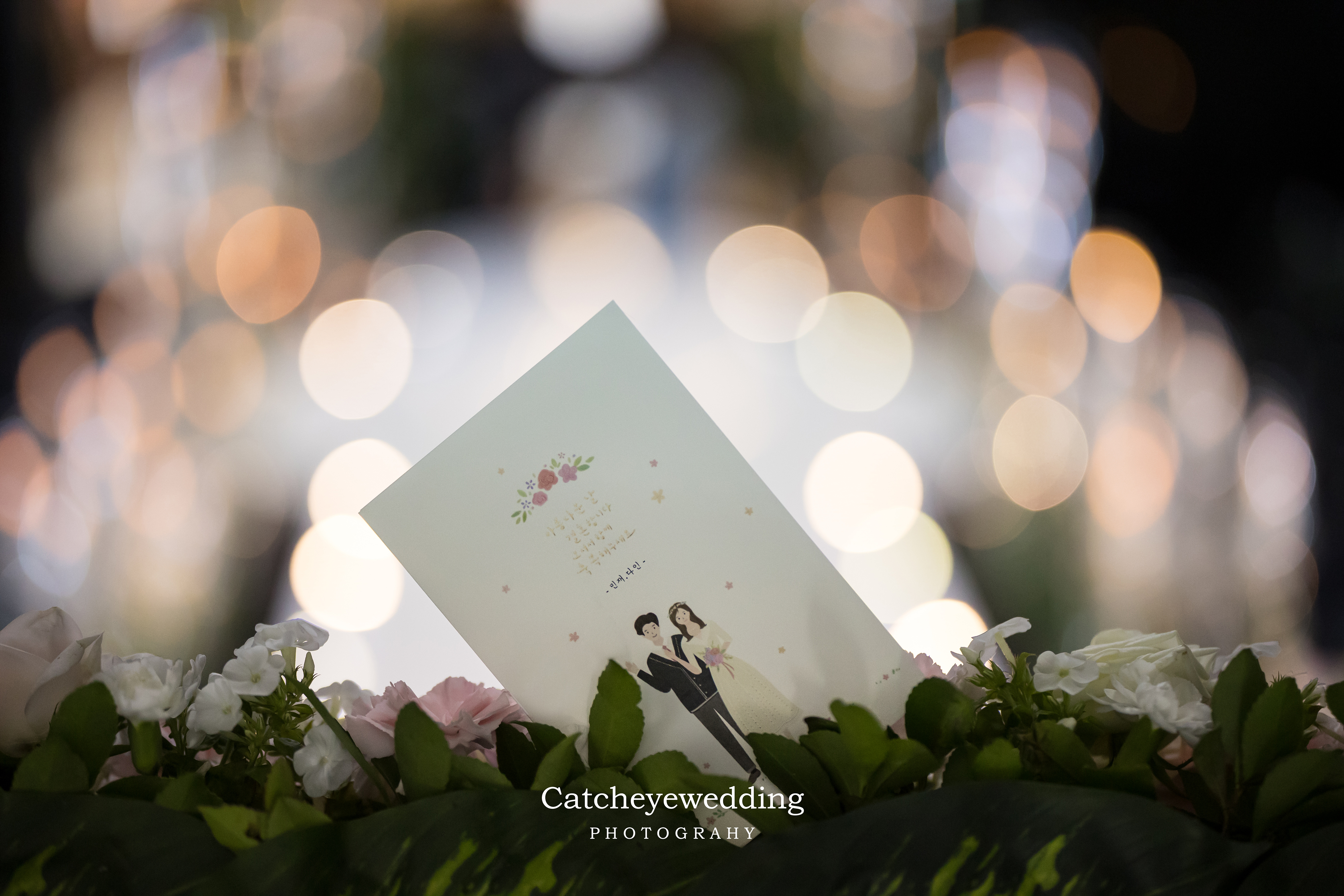 캐치아이웨딩 대표 이미지