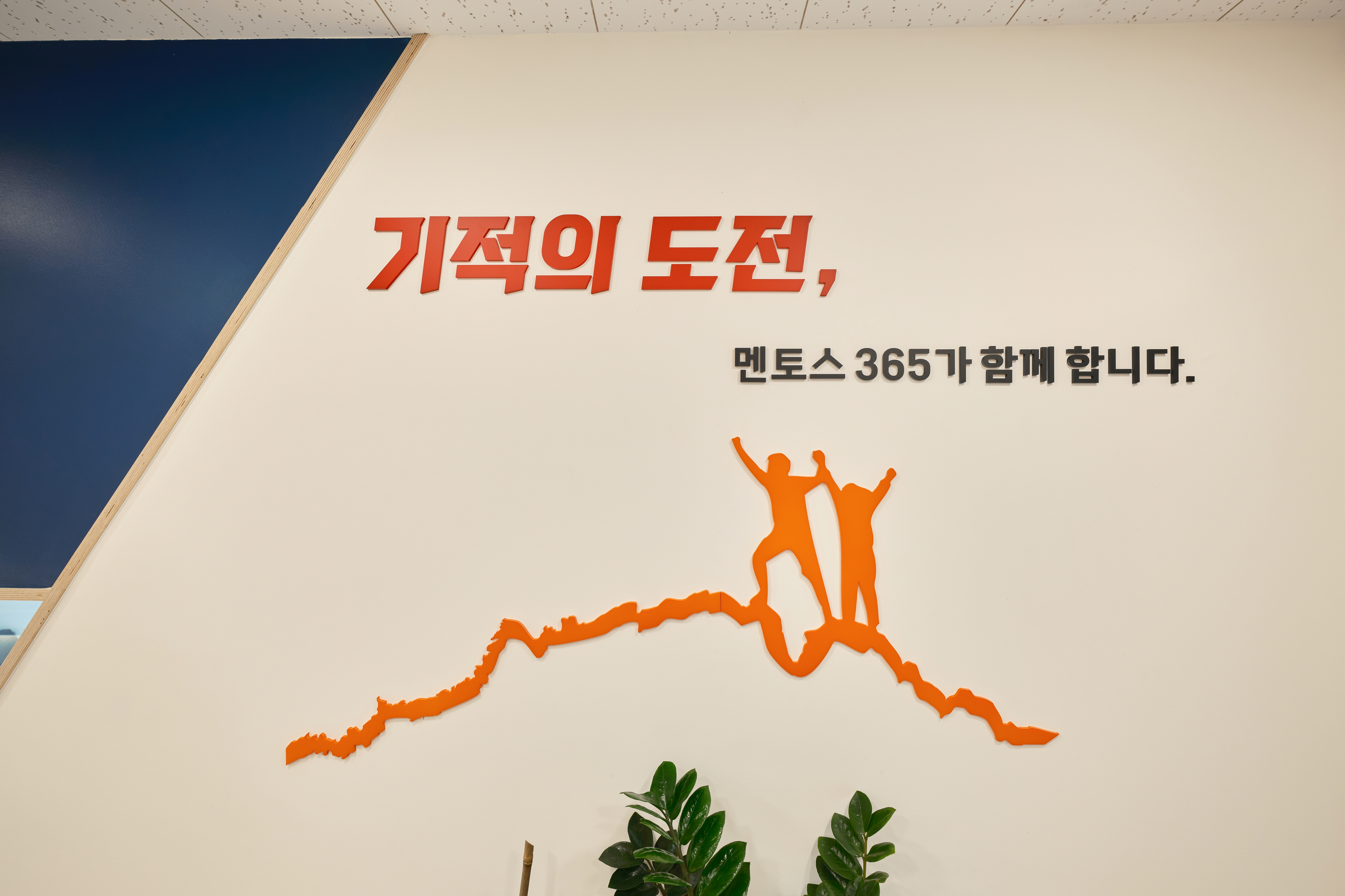 업체사진