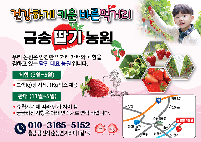 금송딸기농원 금송딸기체험농장