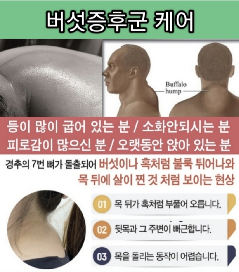 내몸연구소