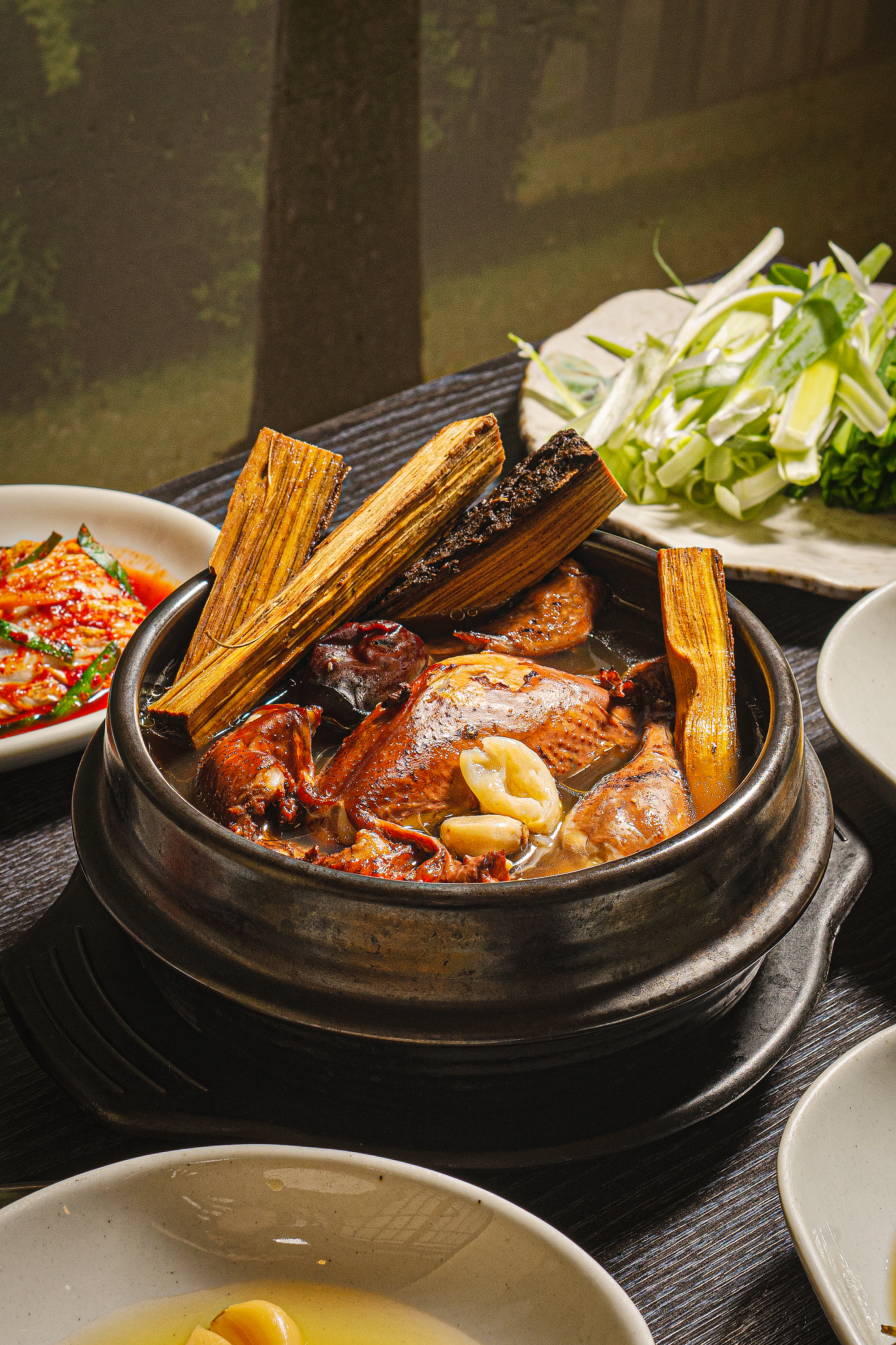 토종 참옻 삼계탕