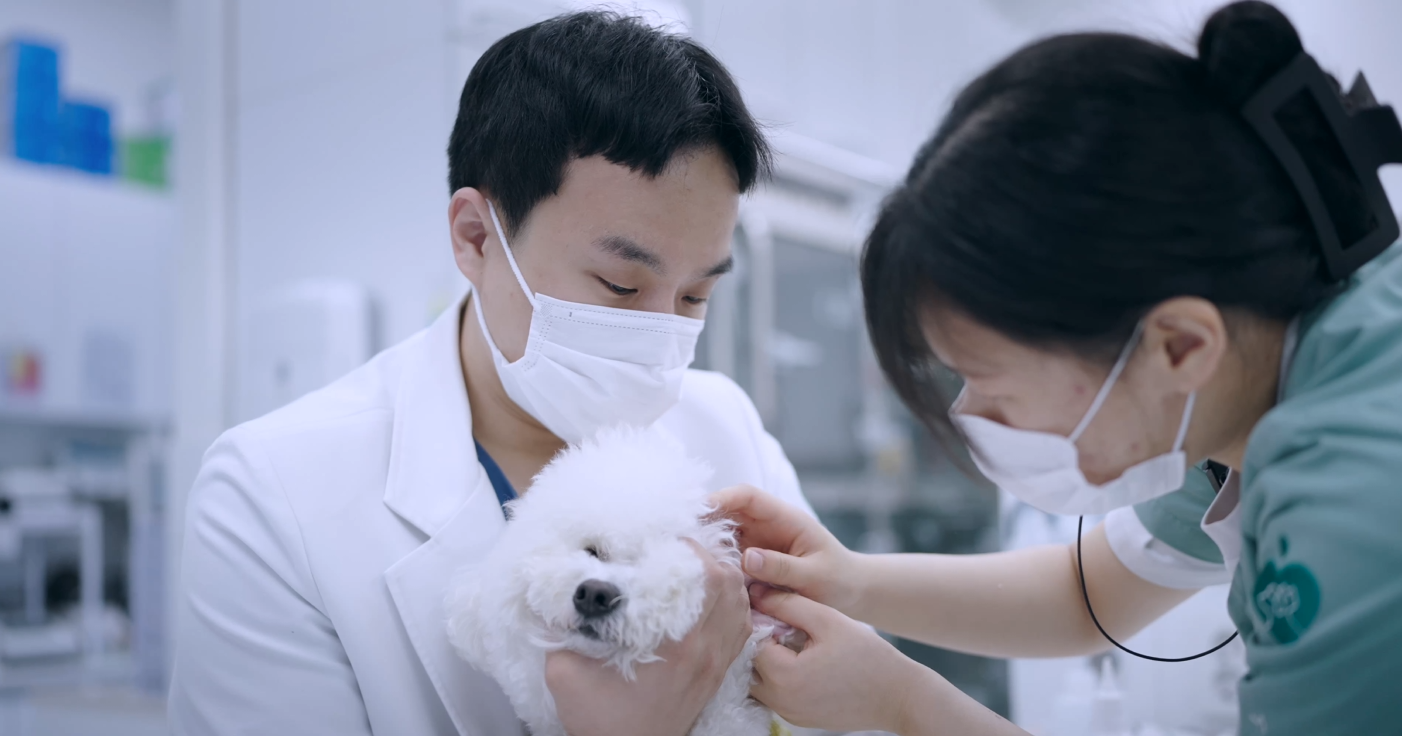 당신의동물의료센터