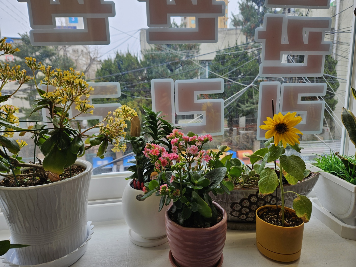 가인피부샵 photo 9