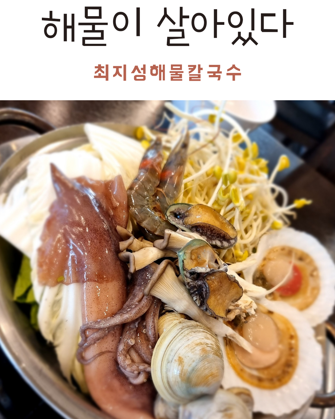 최지성의해물칼국수
