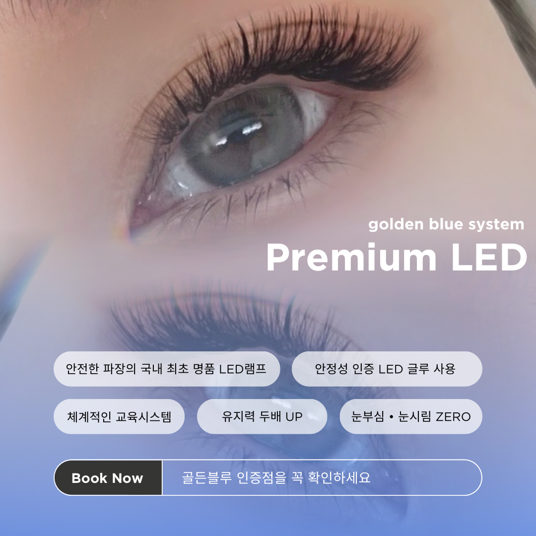 뷰티 레시피눈썹