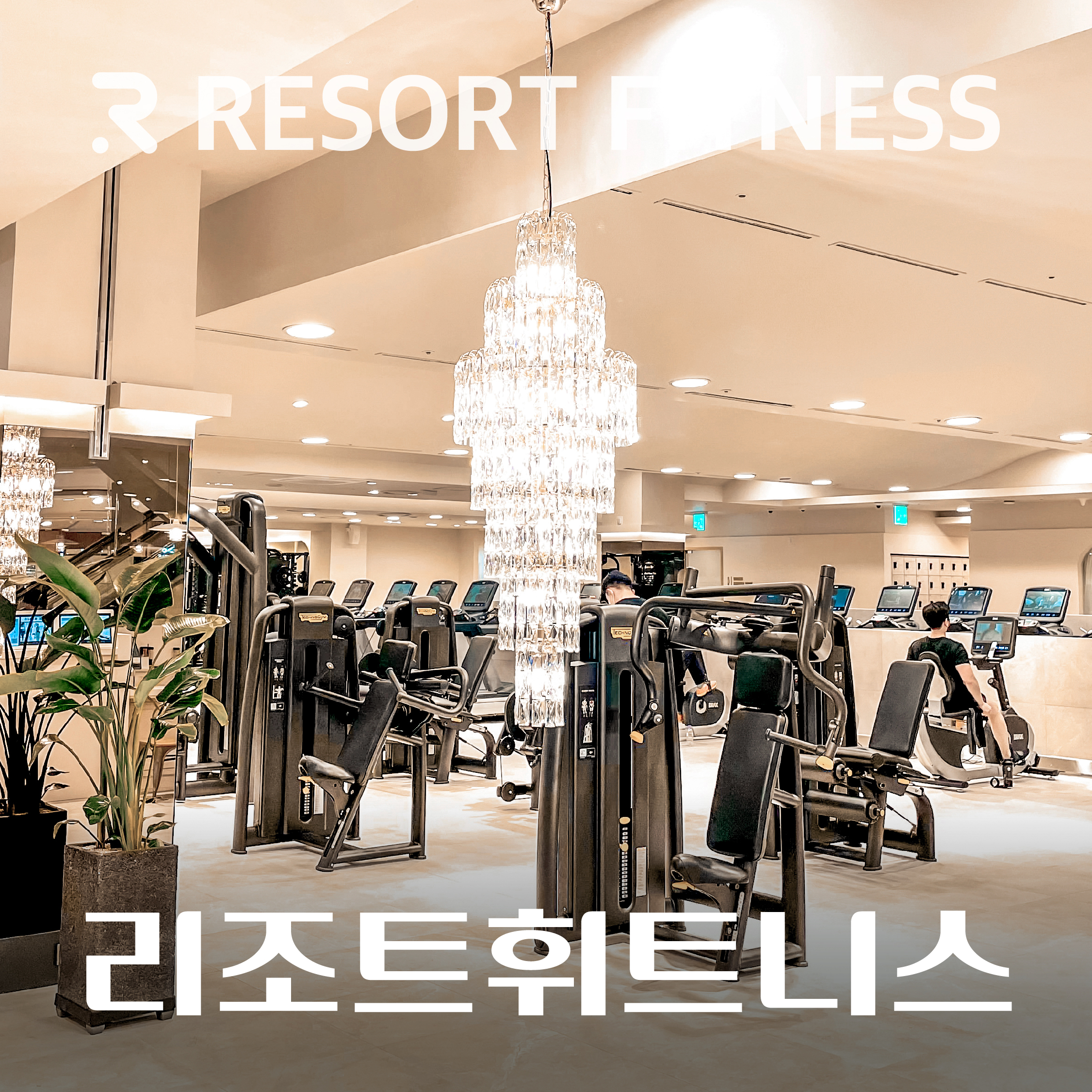 리조트휘트니스 헬스&PT 롯데백화점 대전점