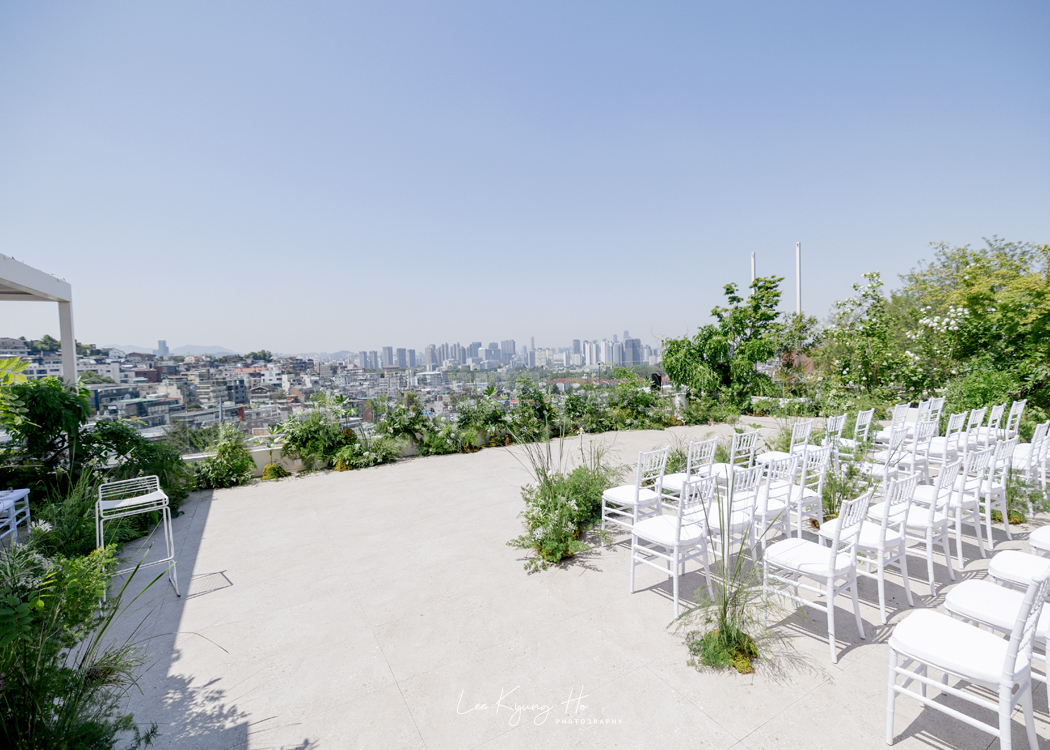 앨리스몽드 대표 이미지