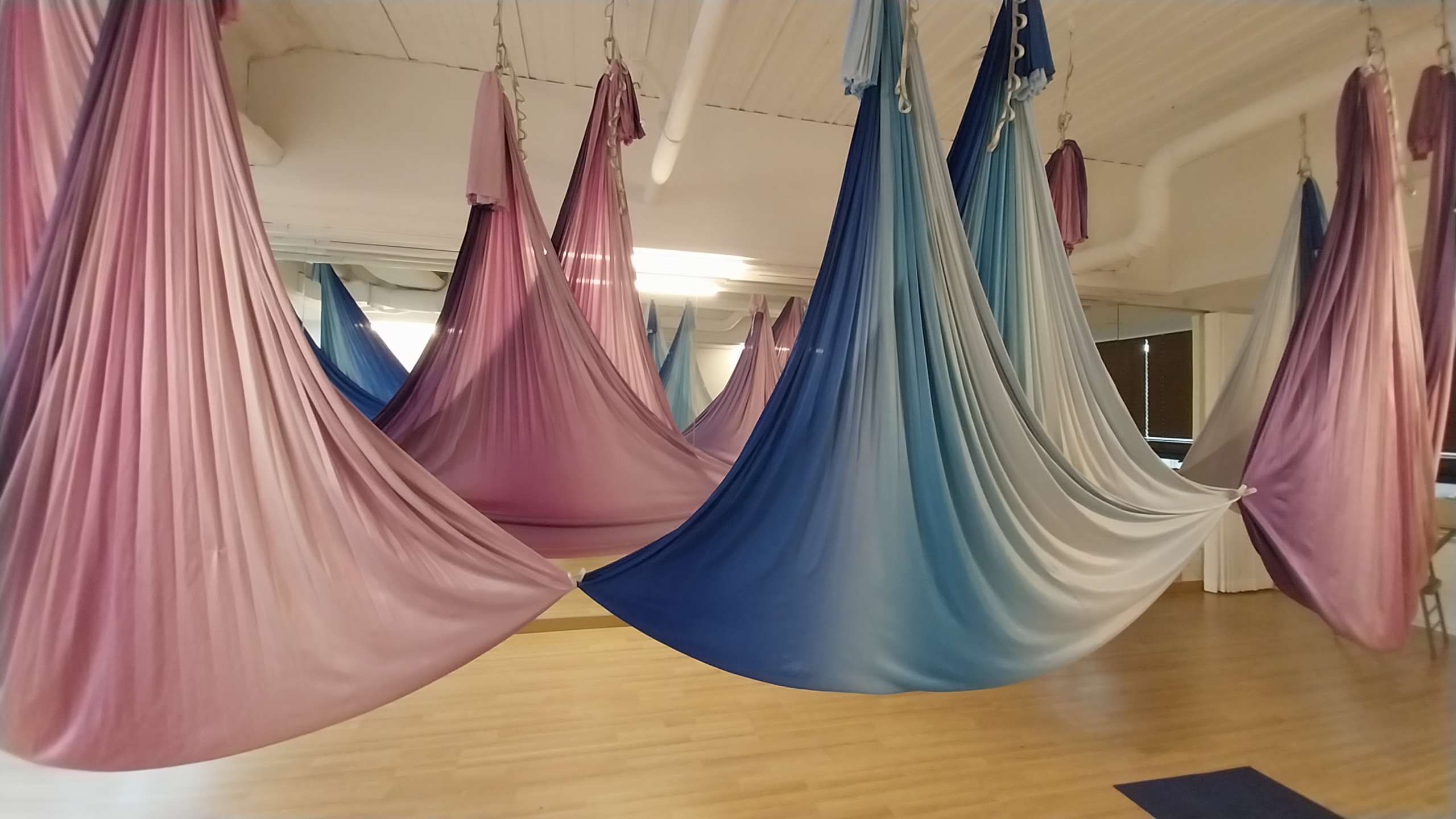 오월요가커뮤니티 대표 이미지