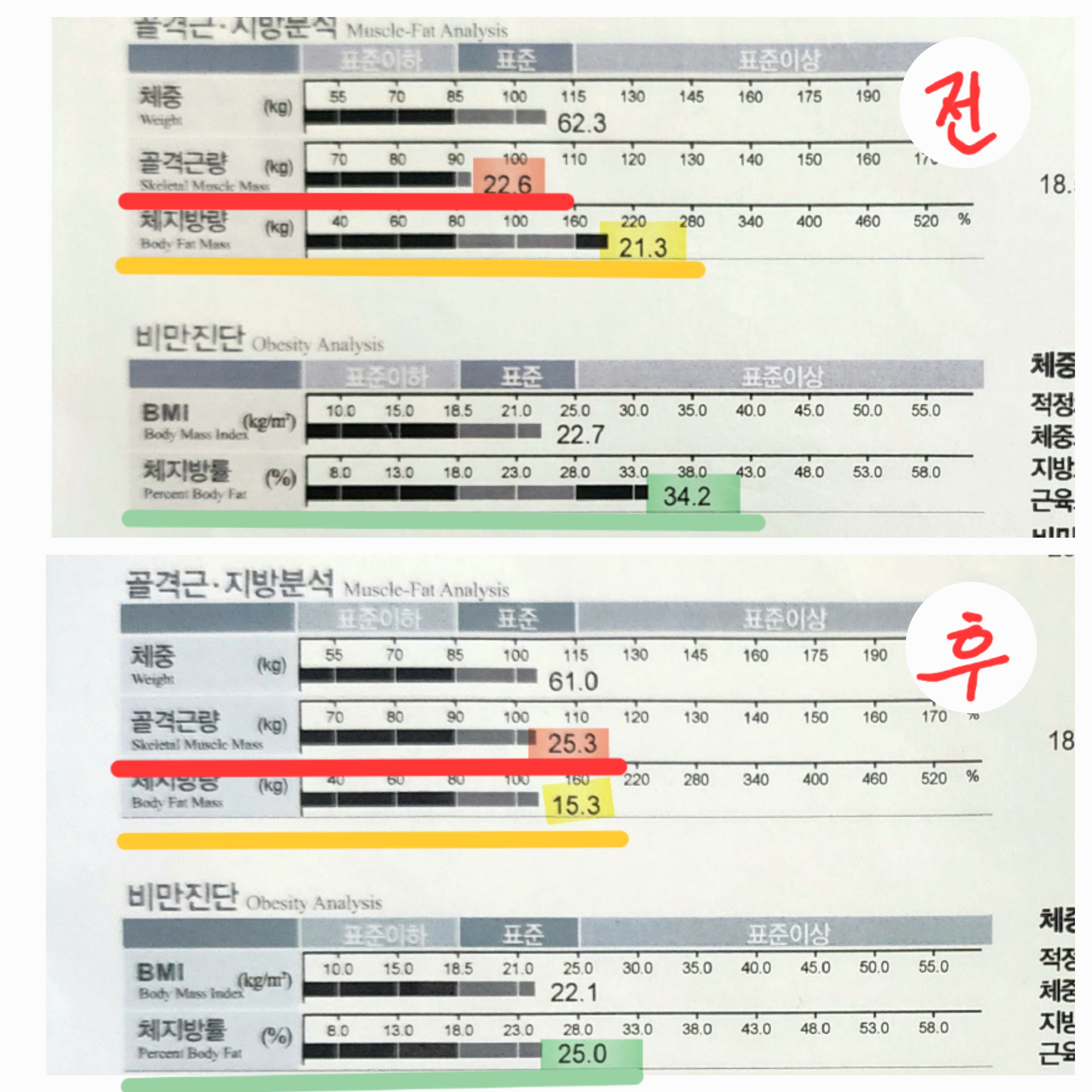 다짐피티전문샵