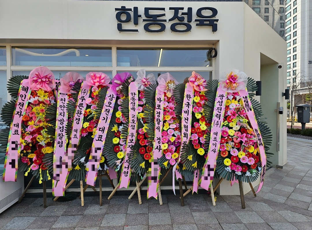 한동정육