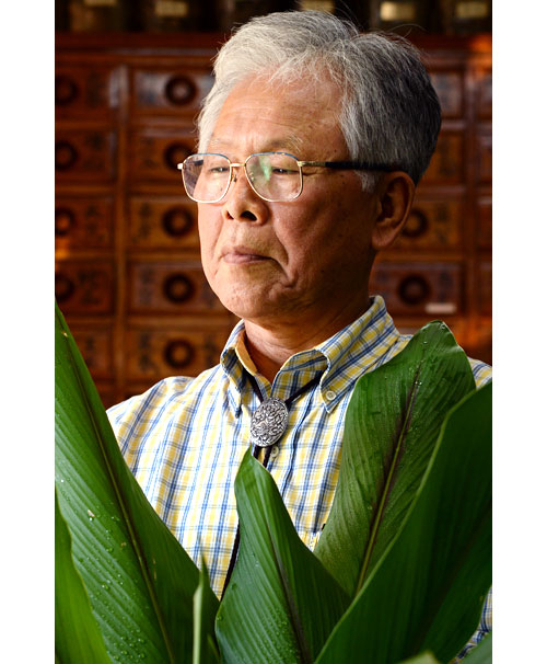 백초당한약방
