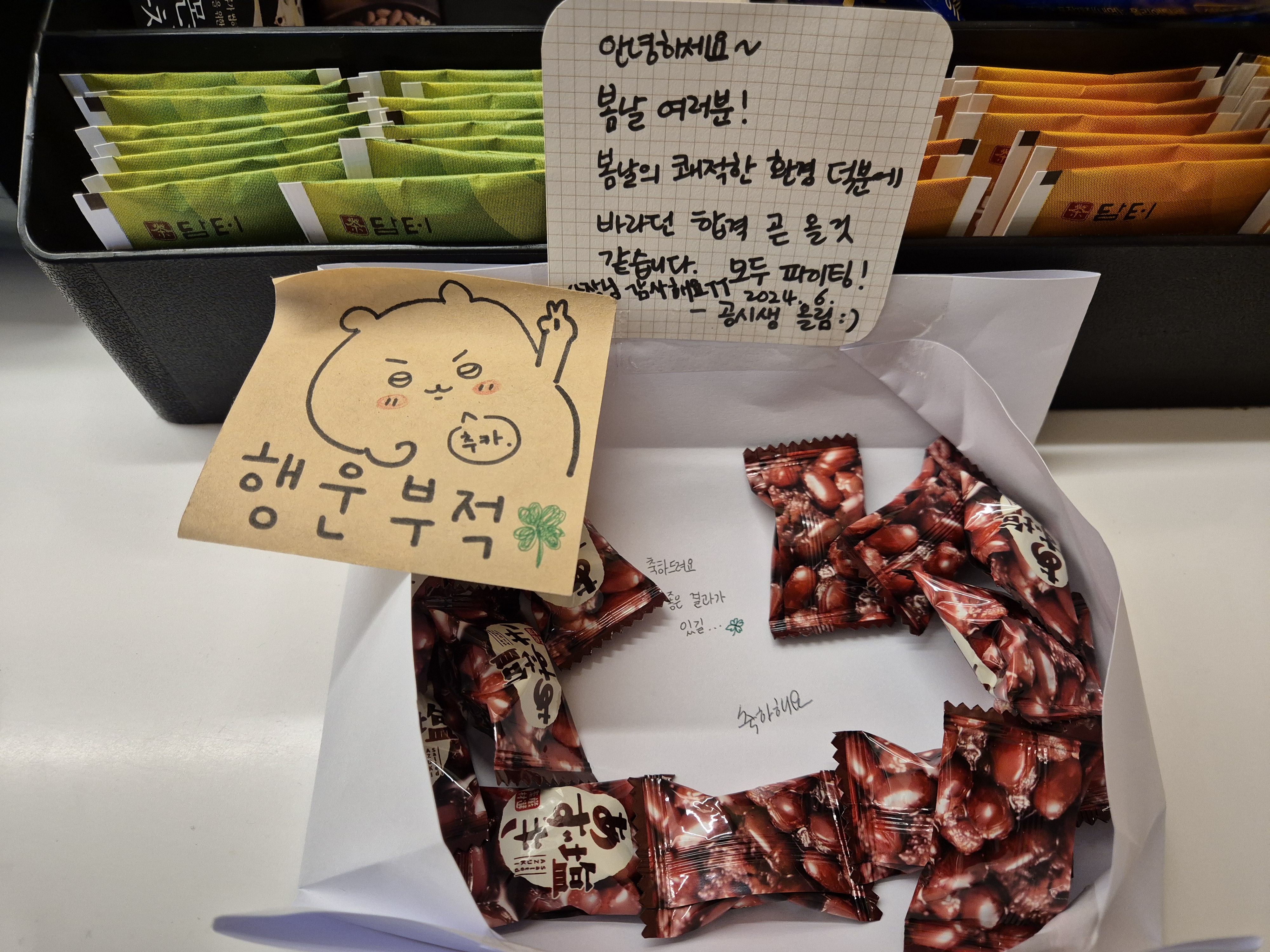 업체사진