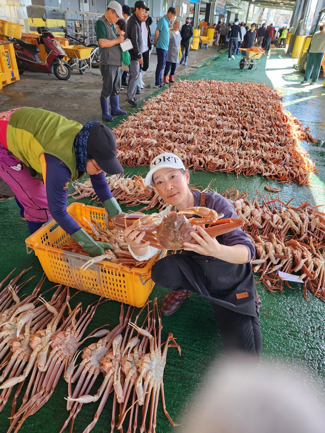 신대구대게타운