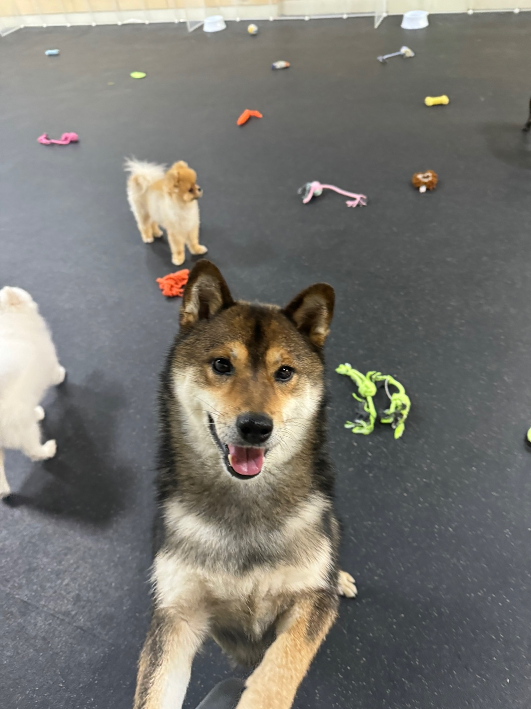 멍스가든 대표 이미지