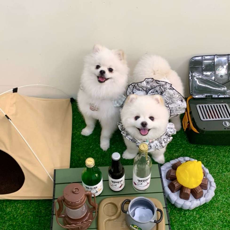 멍다방 2