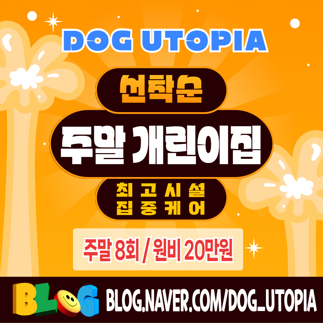 도그유토피아 대표 이미지