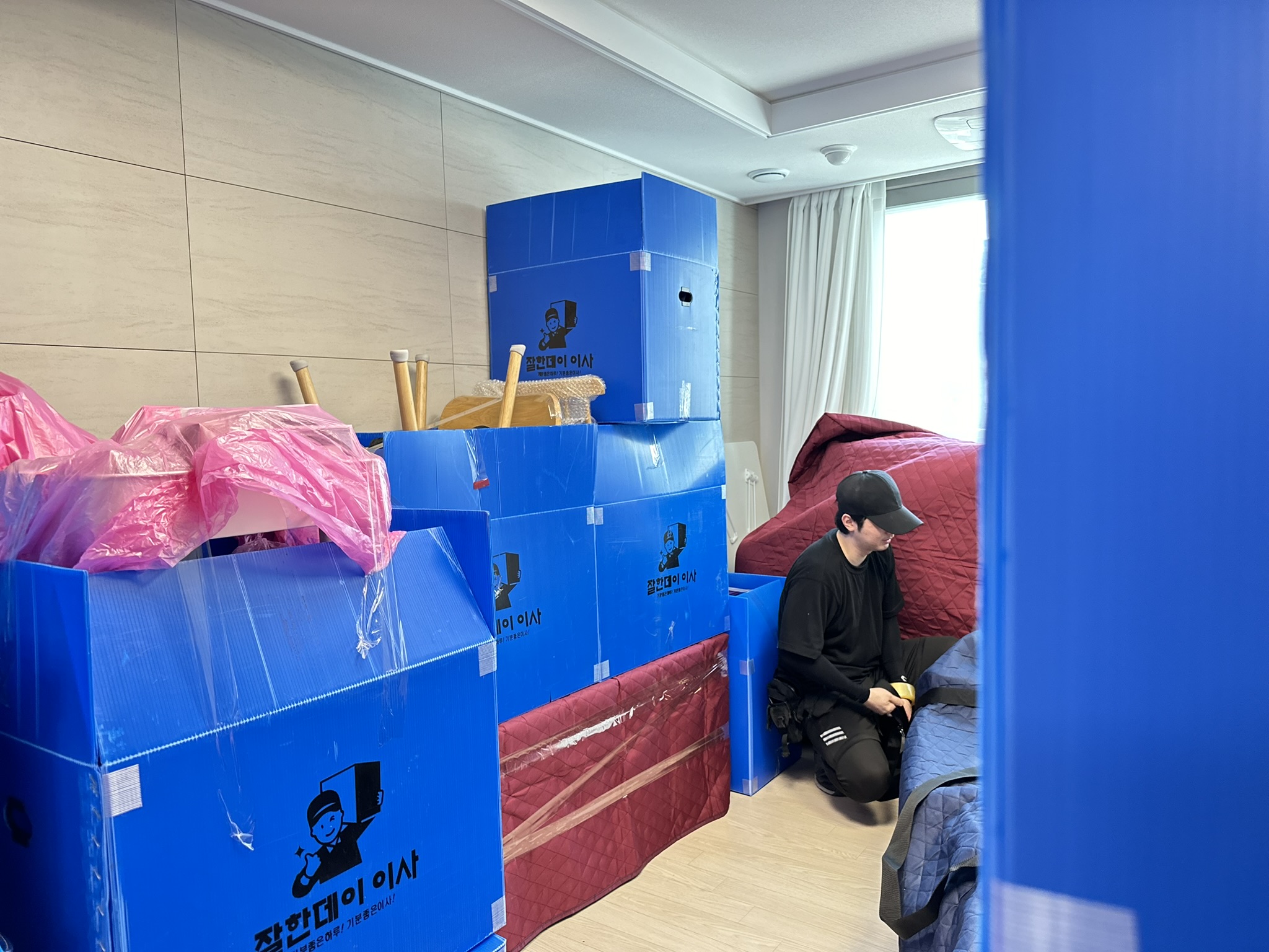 잘한데이 이사 대표 이미지