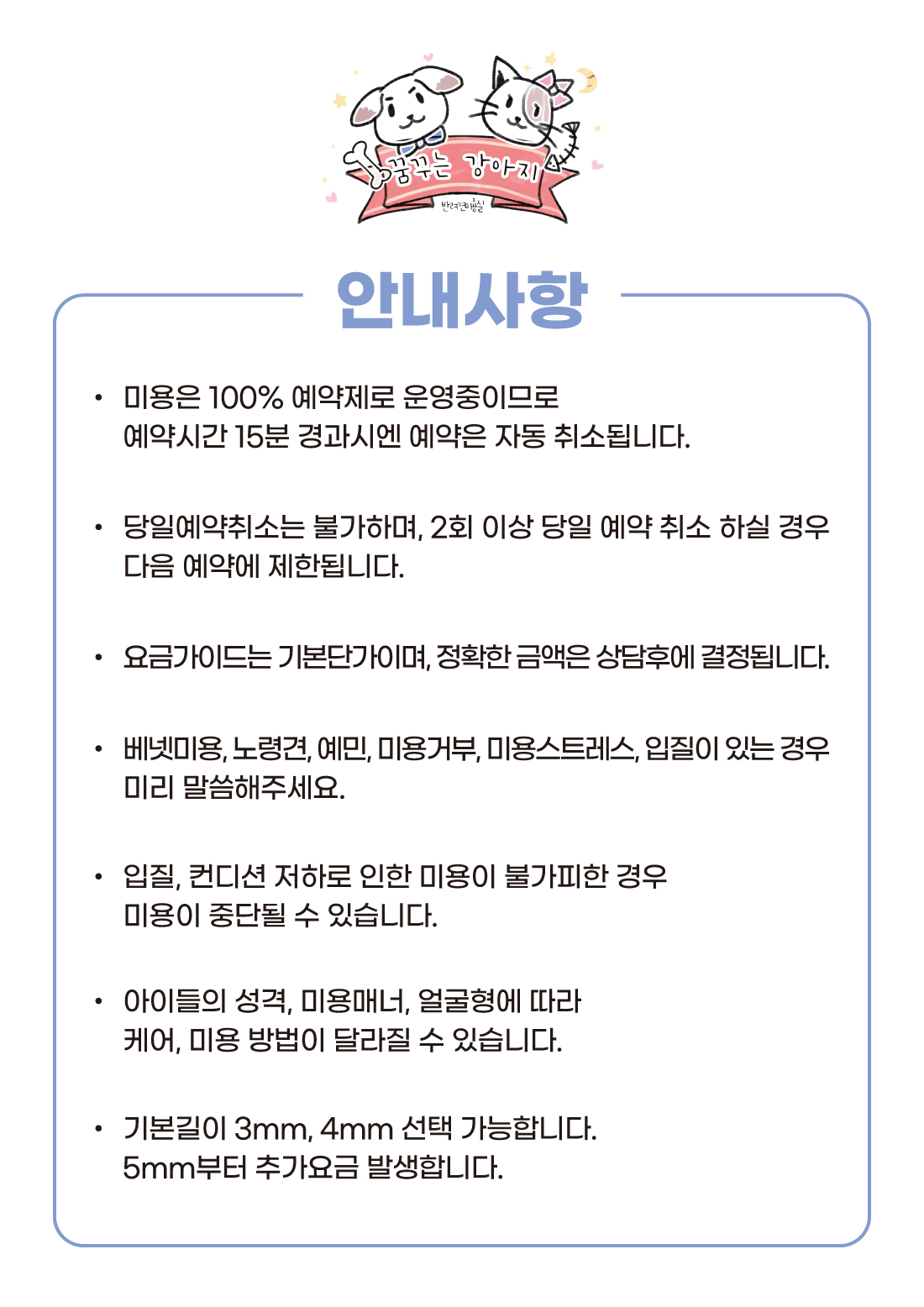 꿈꾸는강아지 내부 또는 관련 모습