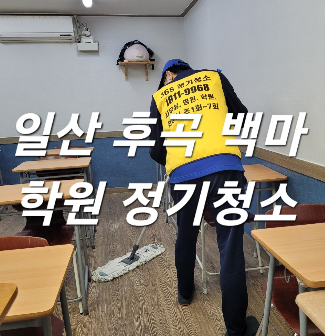 일산사무실병원학원정기청소업체