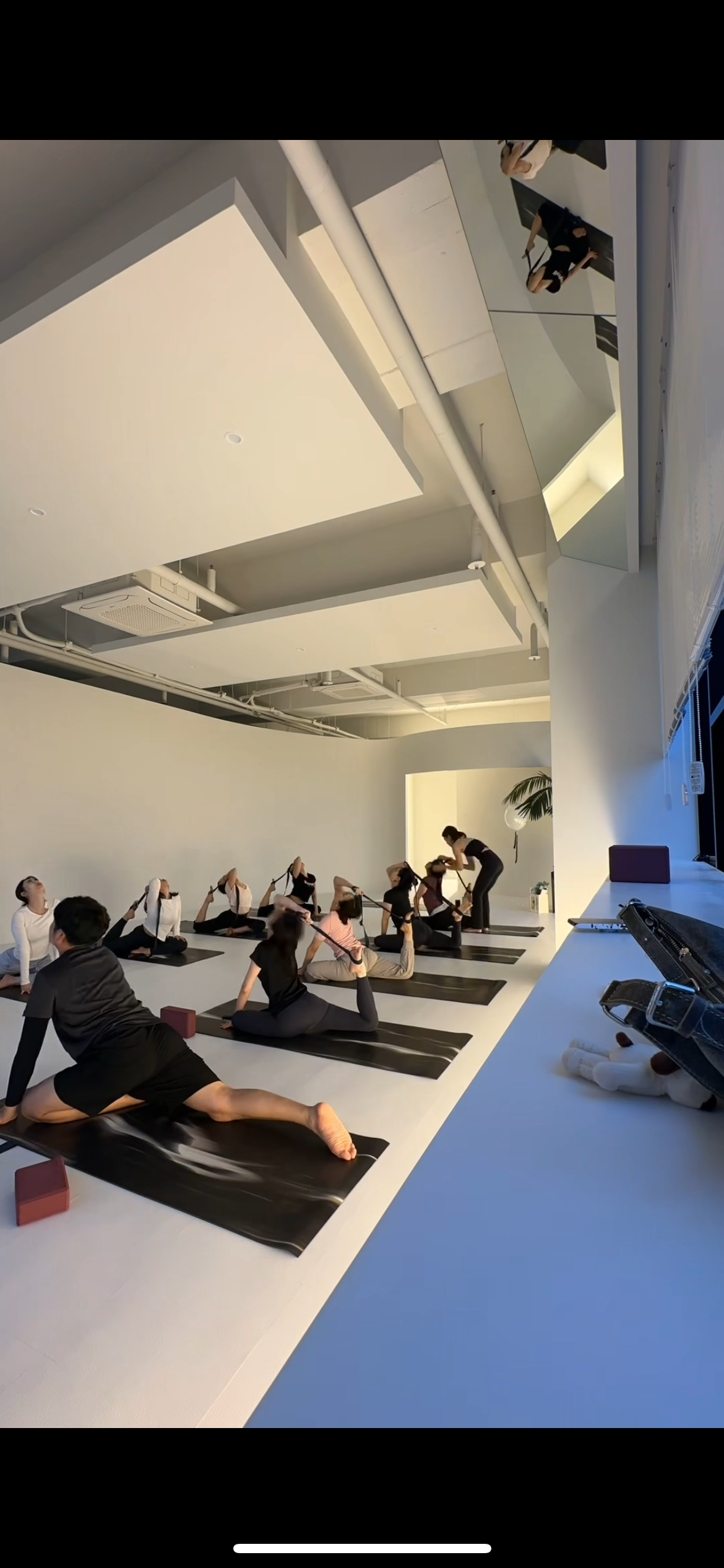 바라요가 대표 이미지