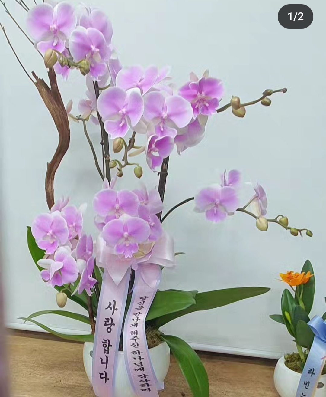 라빈느 플라워 아트