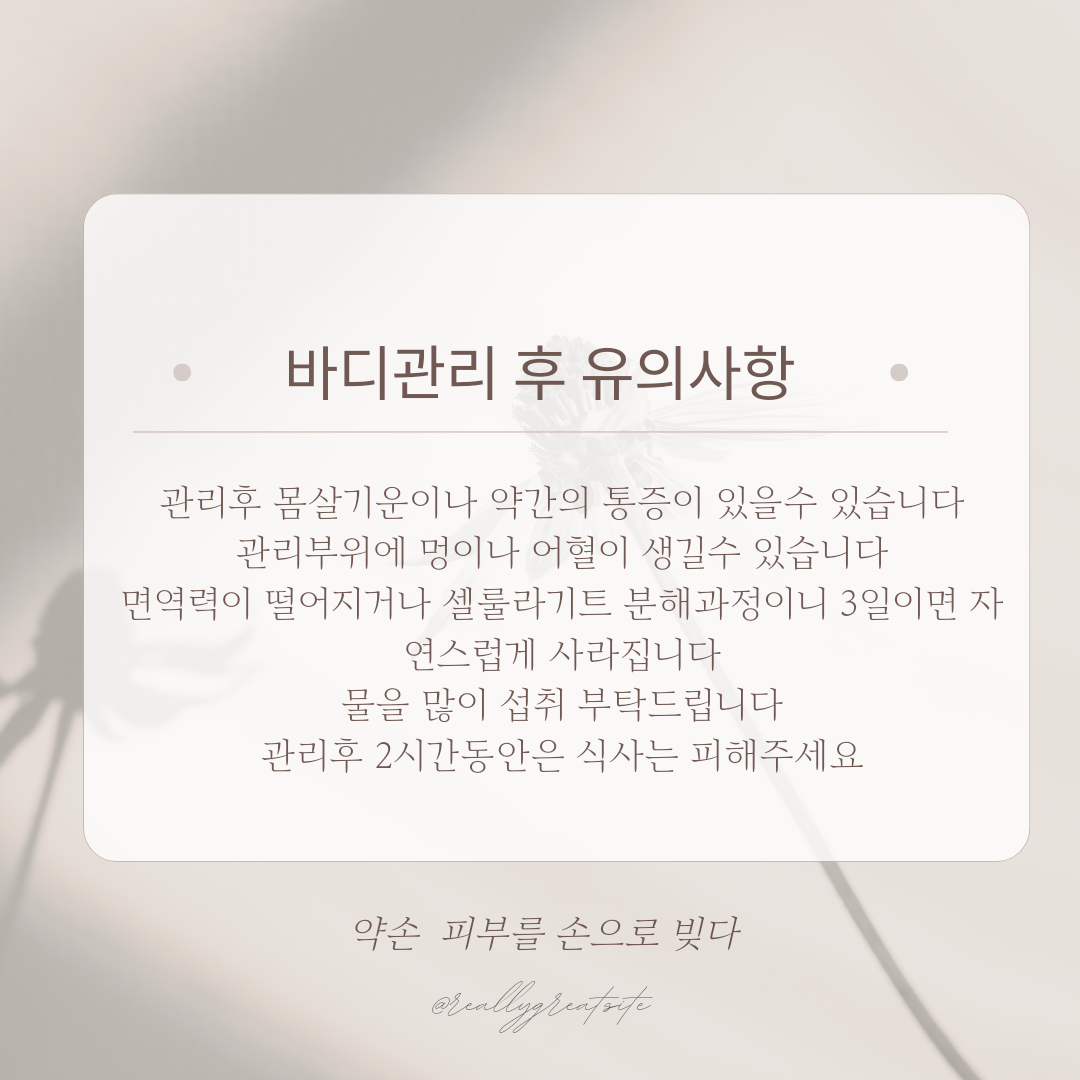 약손수기관리