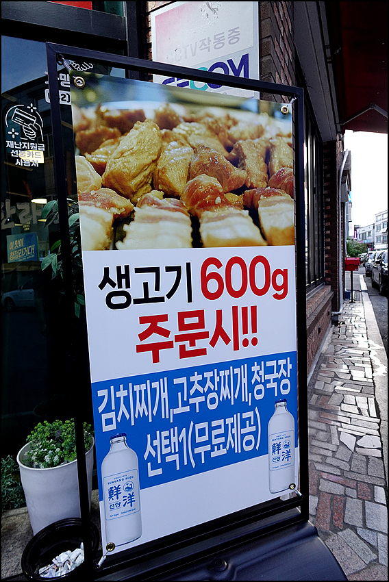 제주한라돼지