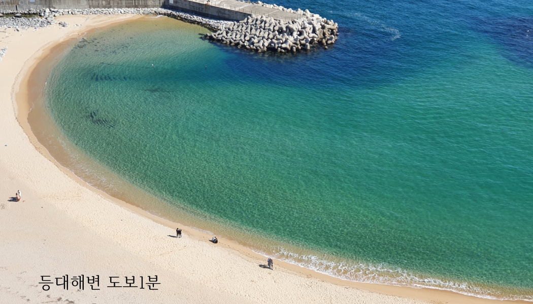 속초써밋베이오션비치 1908 (Sokcho Summit Bay Ocean Beach 1908) 6