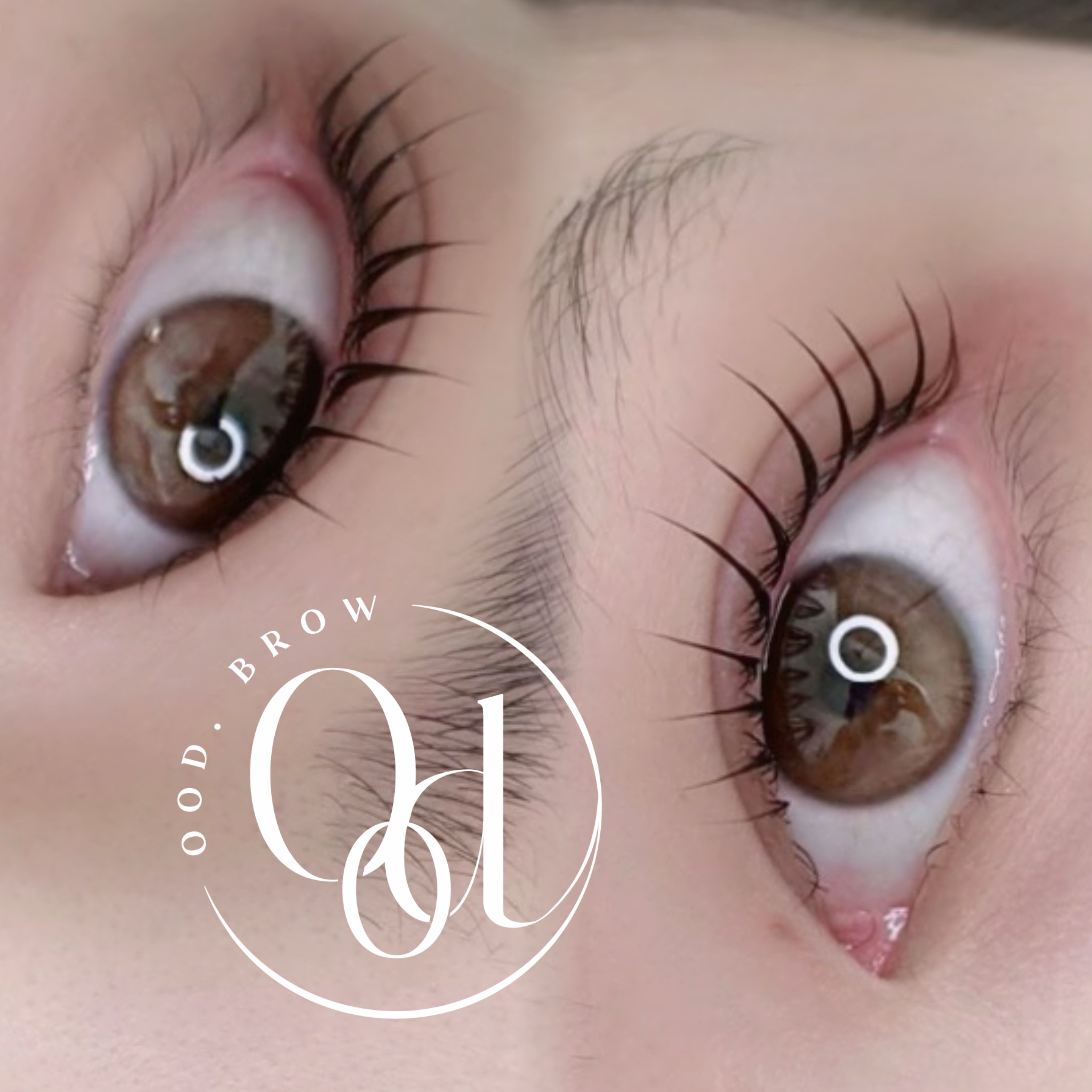 누운 충주속눈썹 대표 이미지