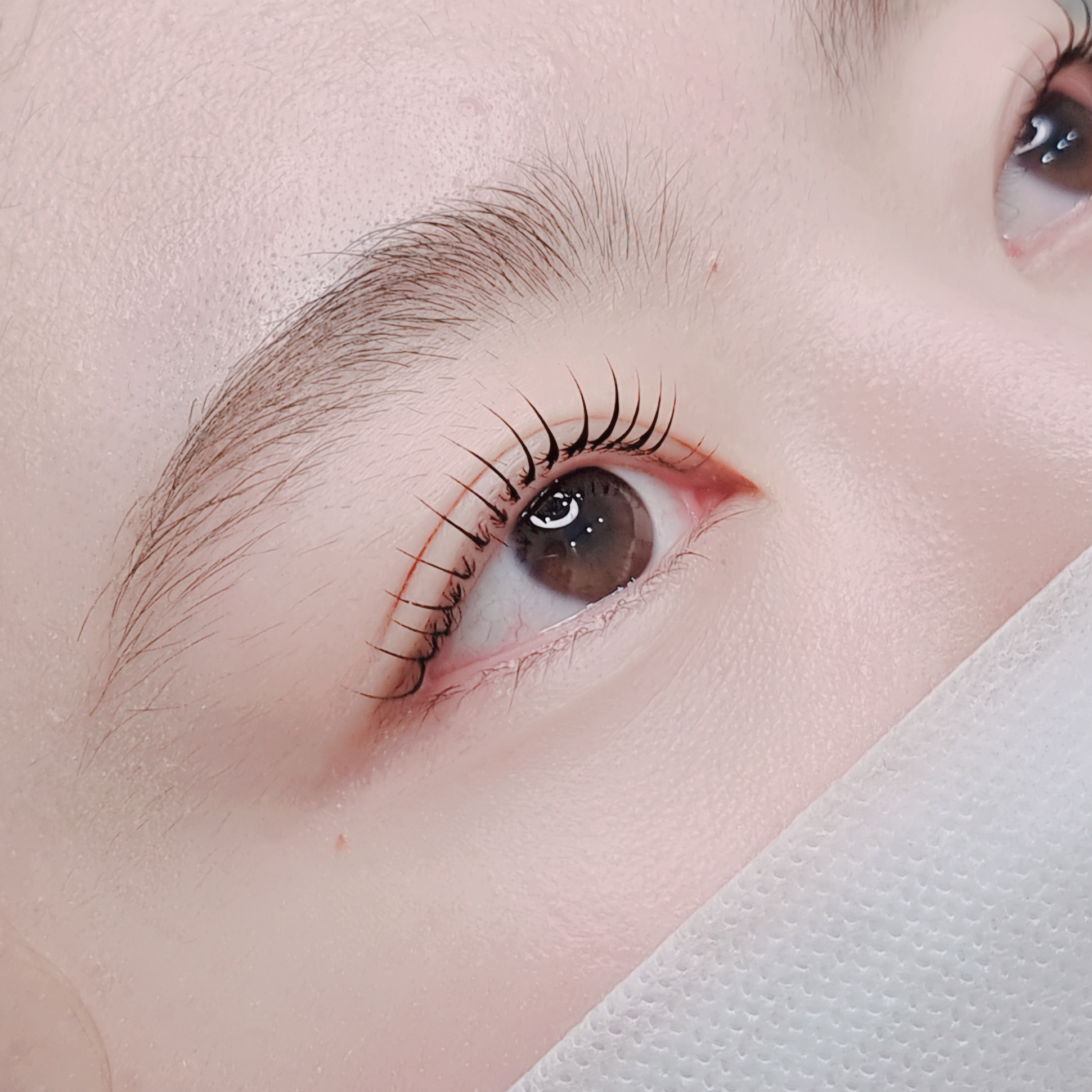바비앤샵 속눈썹펌