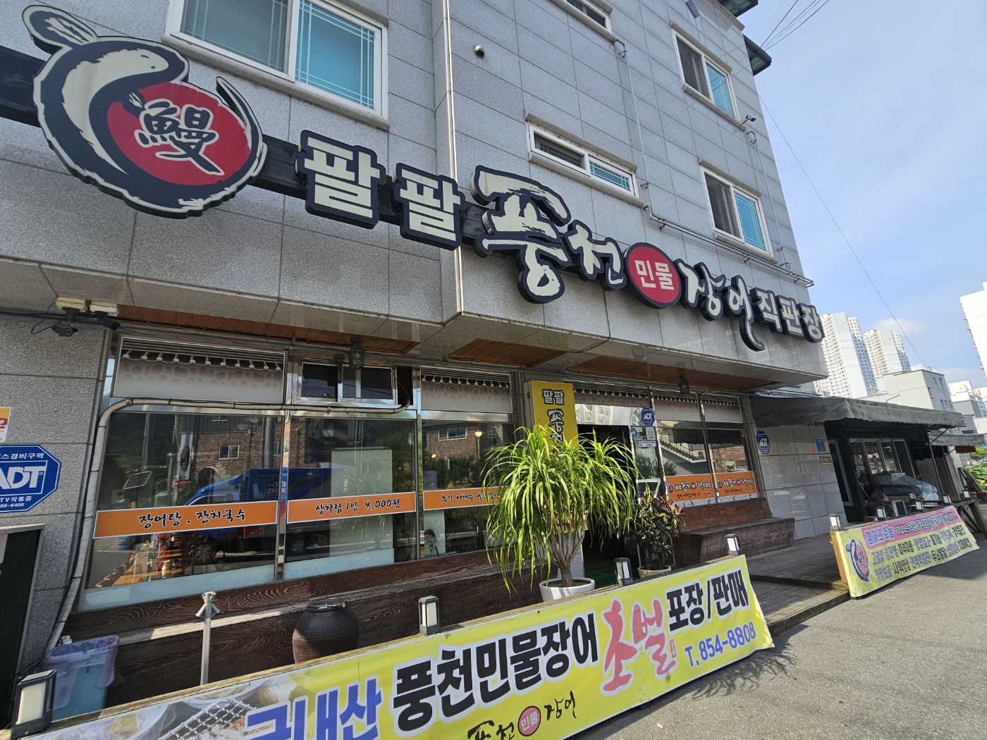 팔팔풍천민물장어
