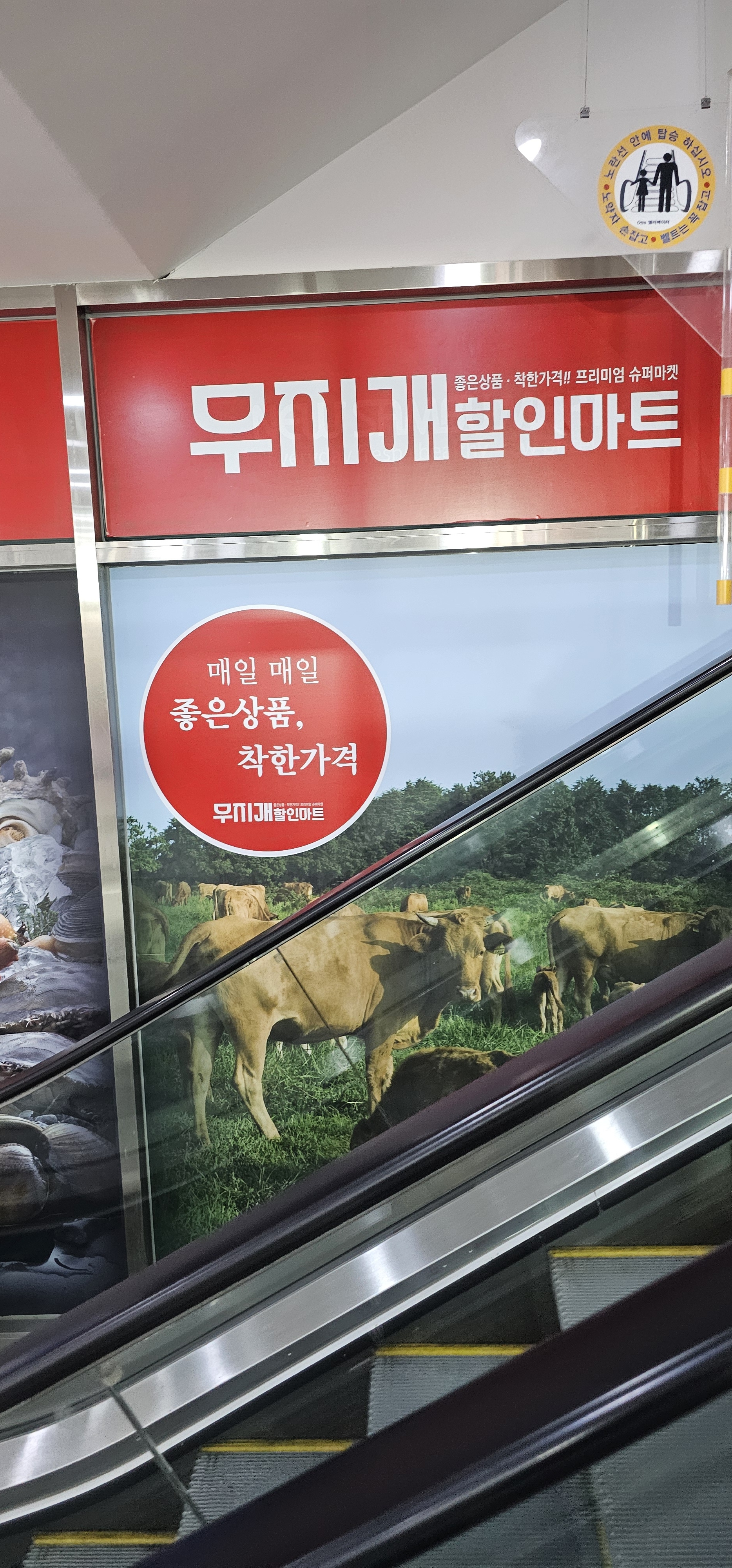 무지개할인마트