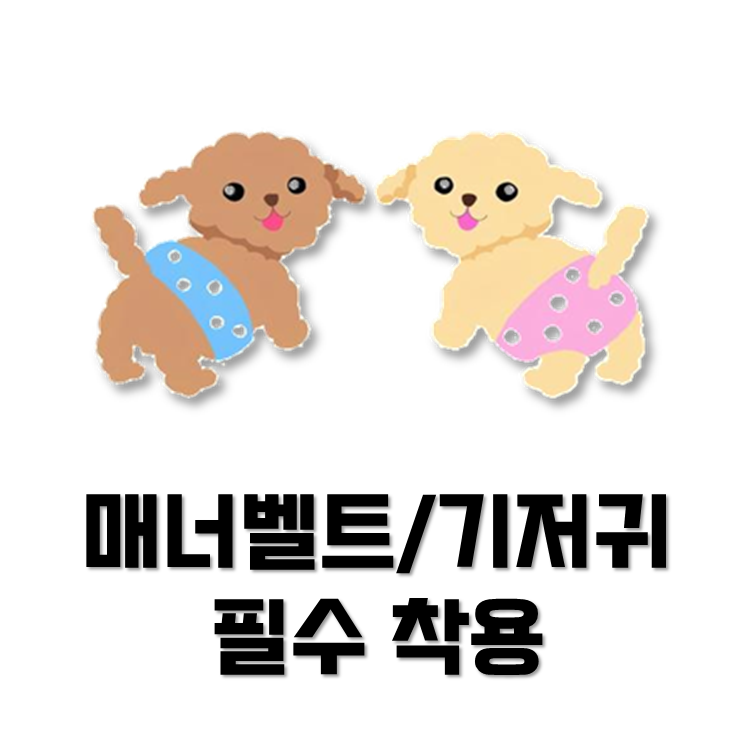 멍프탑 4