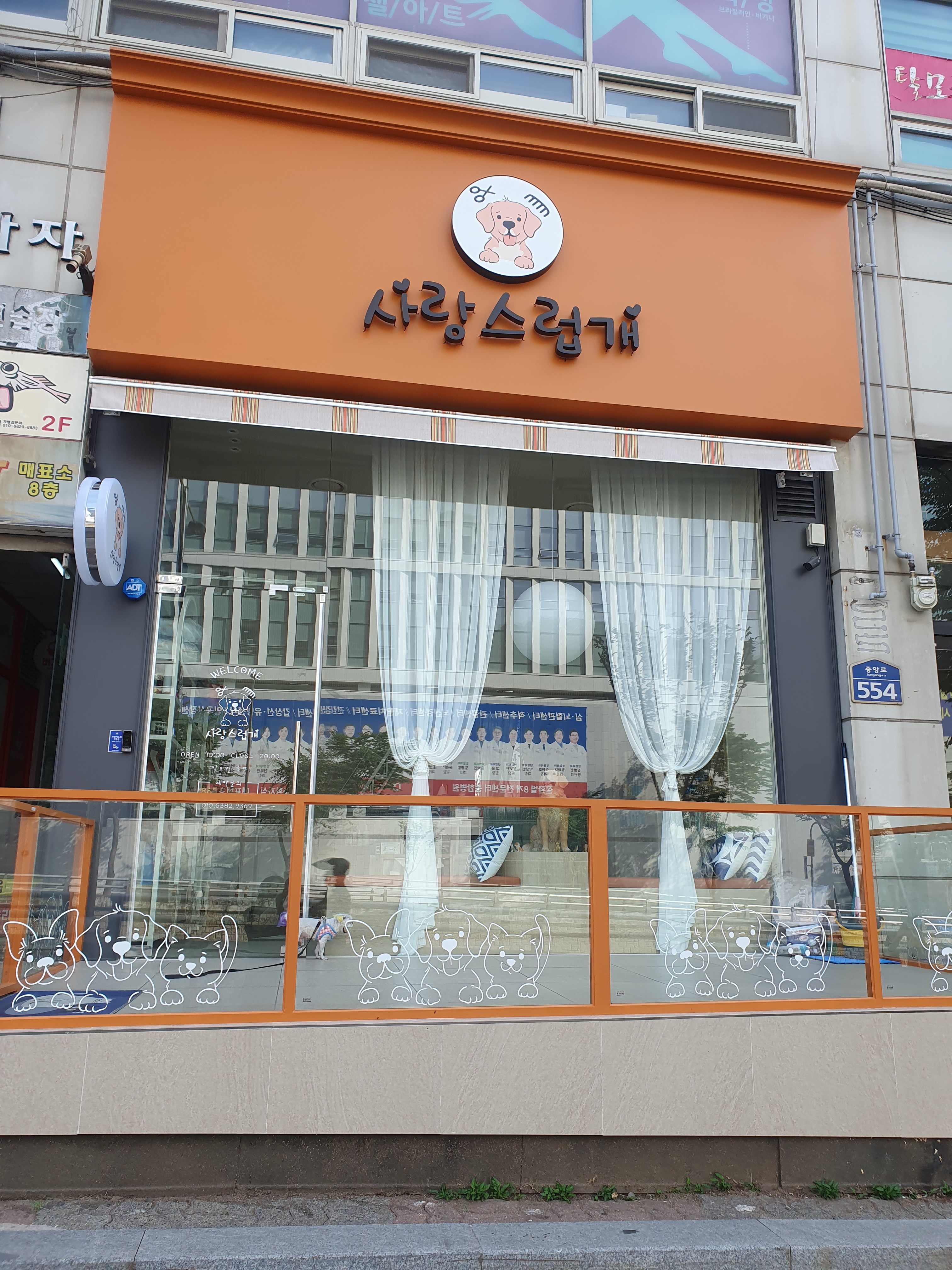 사랑스럽개