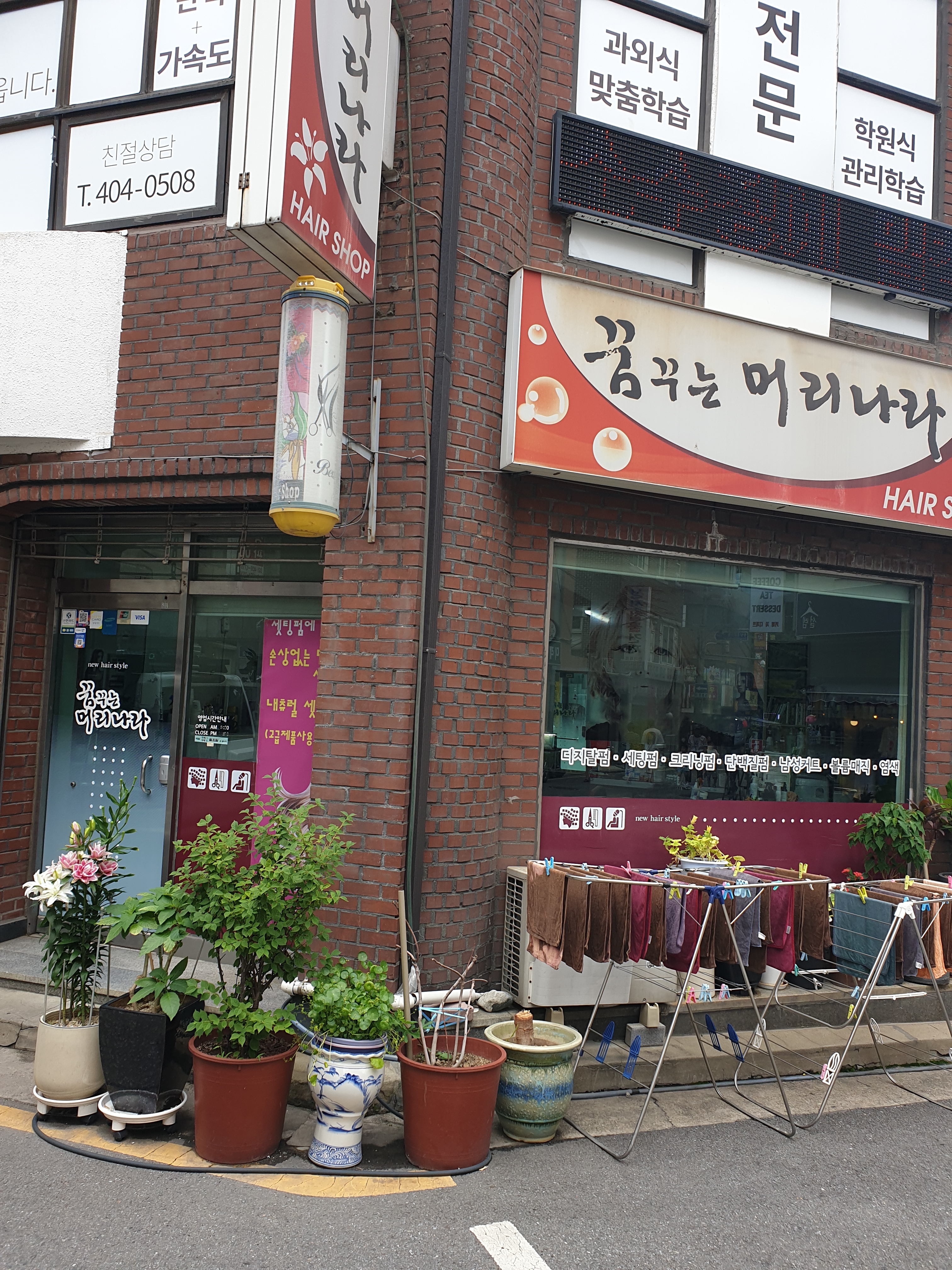 꿈꾸는 머리나라