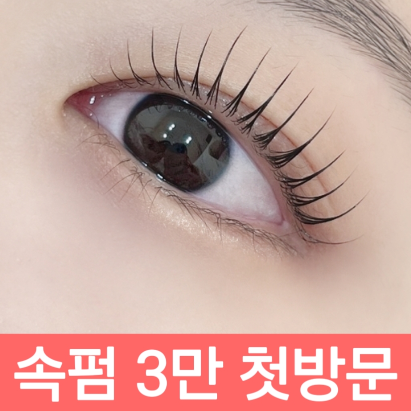 시선 속눈썹 눈썹 피부 경기광주본점