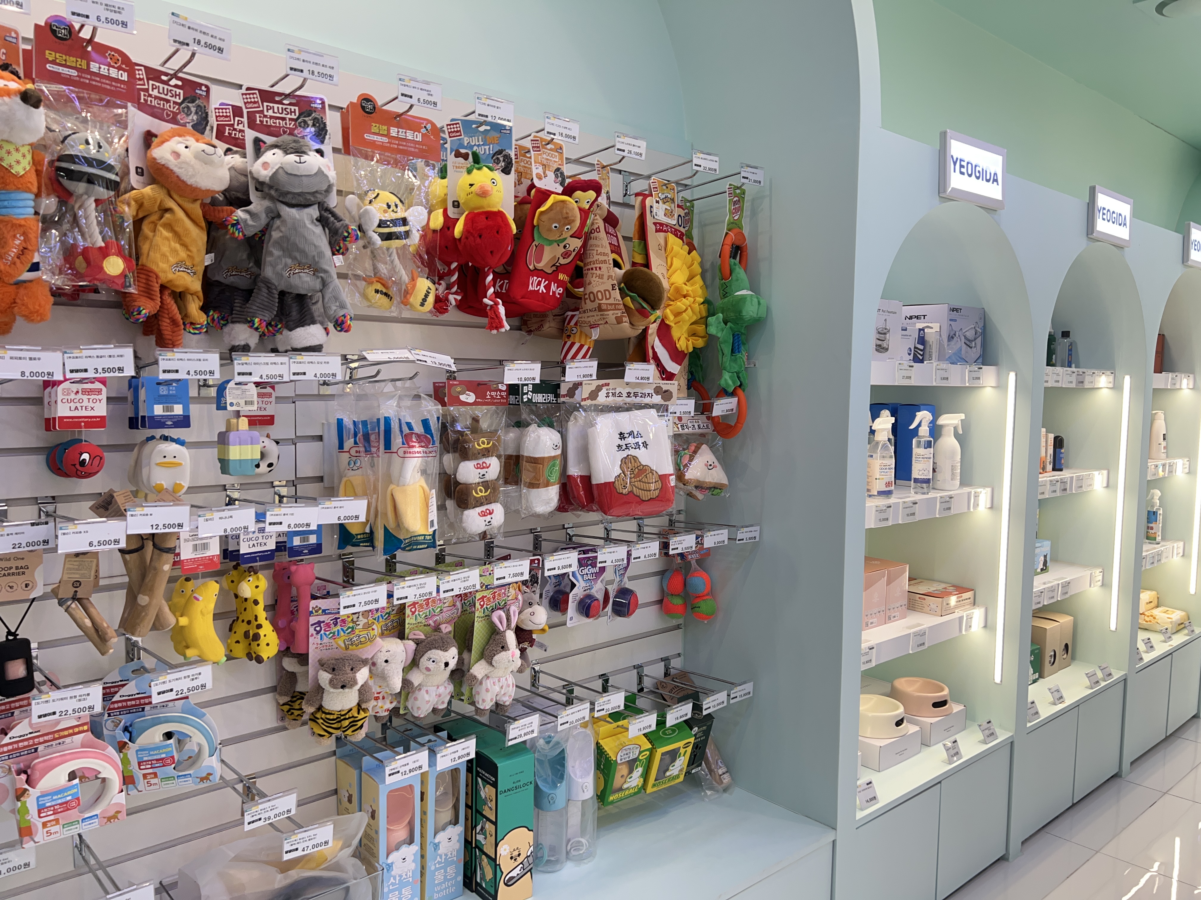 여기다댕댕이냥냥이 청라 1호점 대표 이미지