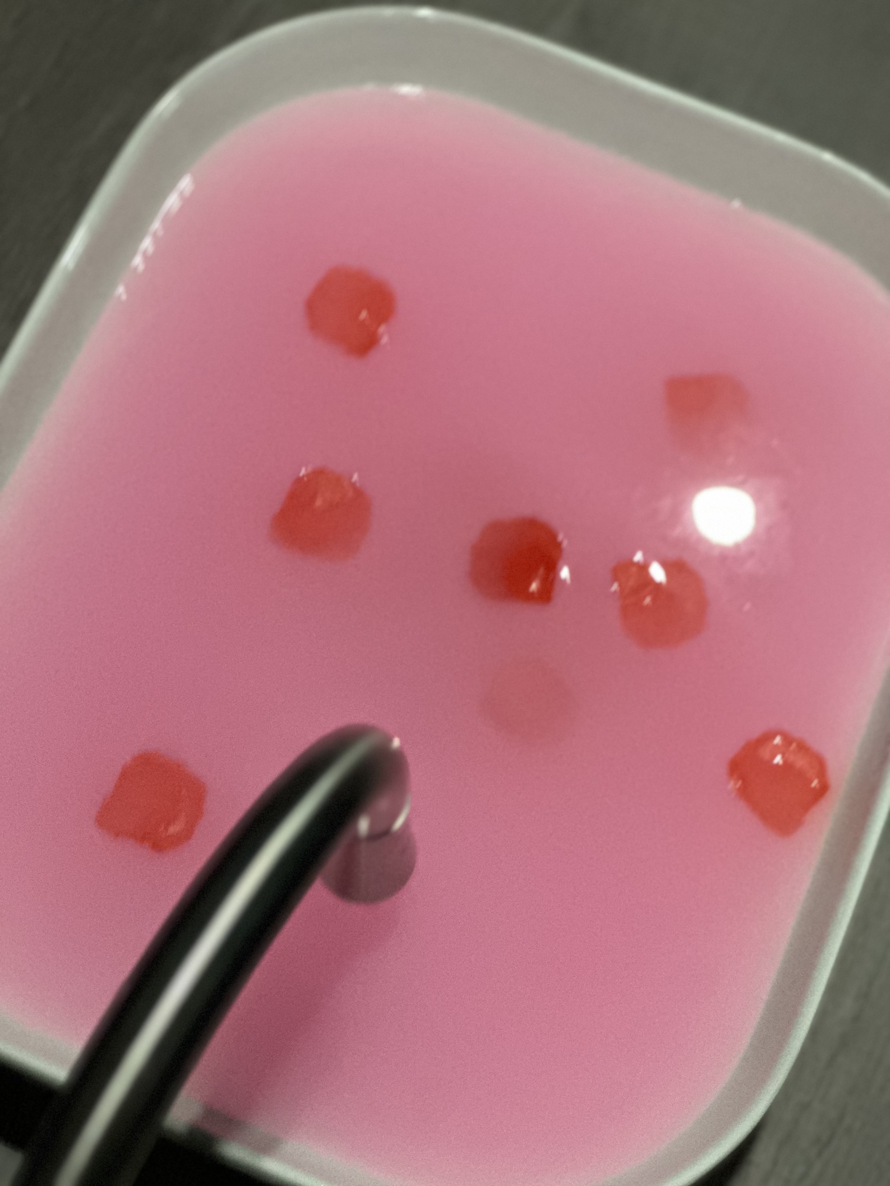 실롬 photo 10
